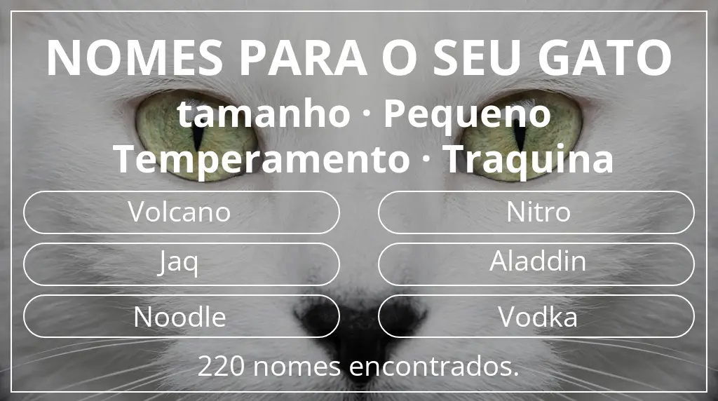 Nomes para gatos com inspiração em tamanho pequeno e temperamento traquina