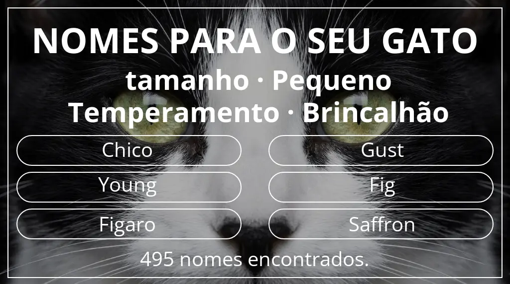 Nomes de gatos relacionados com tamanho pequeno e temperamento brincalhão