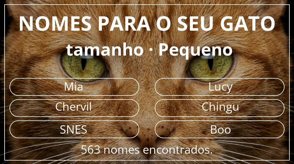 Nomes para gatos baseados em tamanho pequeno