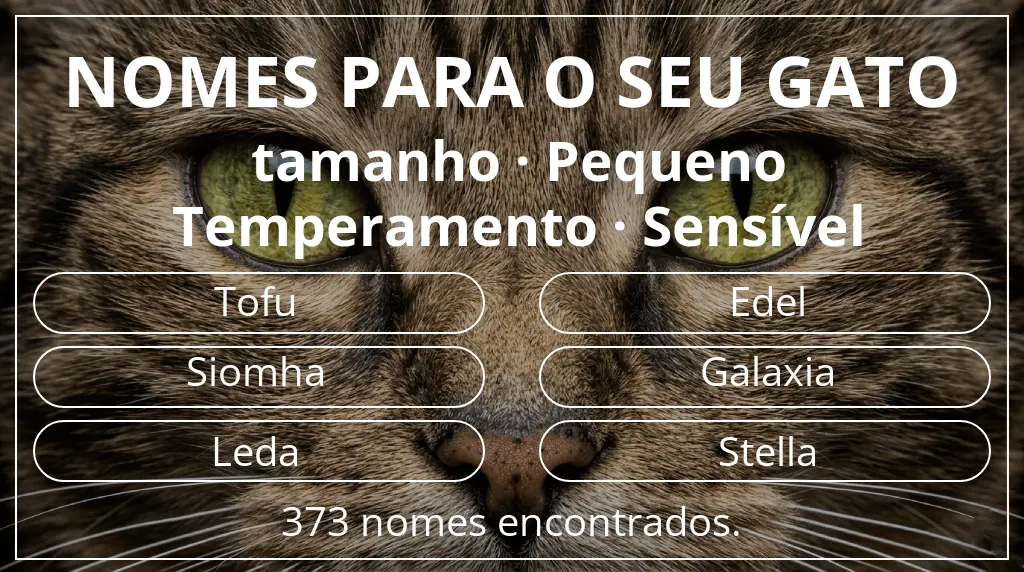 Nomes de gatos com inspiração em tamanho pequeno e temperamento sensível
