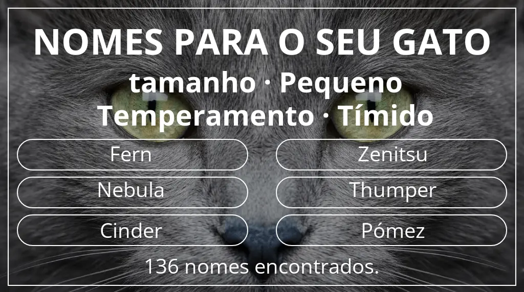Nomes de gatos com inspiração em tamanho pequeno e temperamento tímido