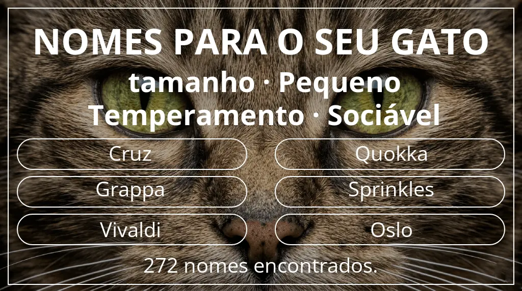 Nomes para gatos com inspiração em tamanho pequeno e temperamento sociável