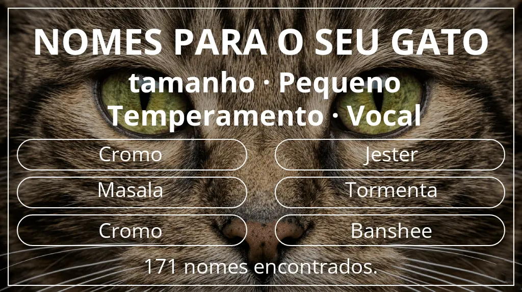 Nomes de gatos com inspiração em tamanho pequeno e temperamento vocal