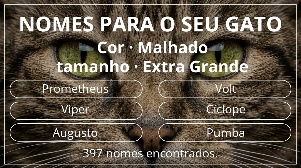 Nomes de gatos baseados em cor malhado e tamanho extra grande