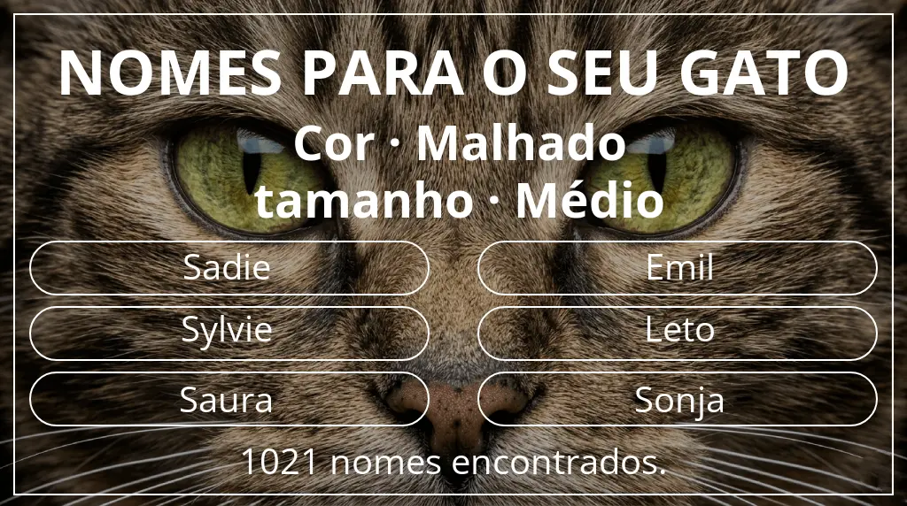Nomes de gatos relacionados com cor malhado e tamanho médio