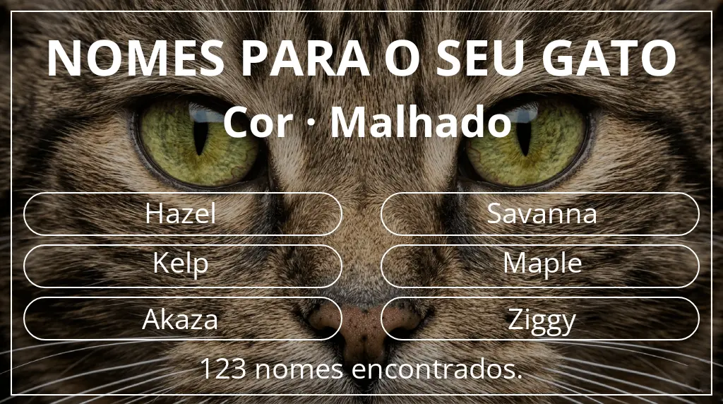 Nomes de gatos com inspiração em cor malhado