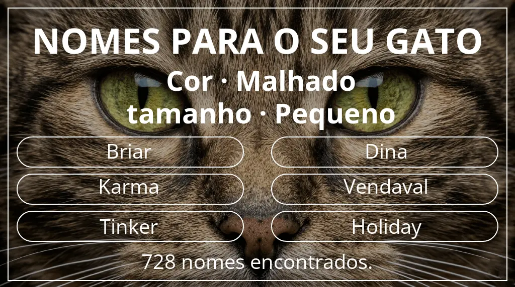 Nomes felinos com inspiração em cor malhado e tamanho pequeno