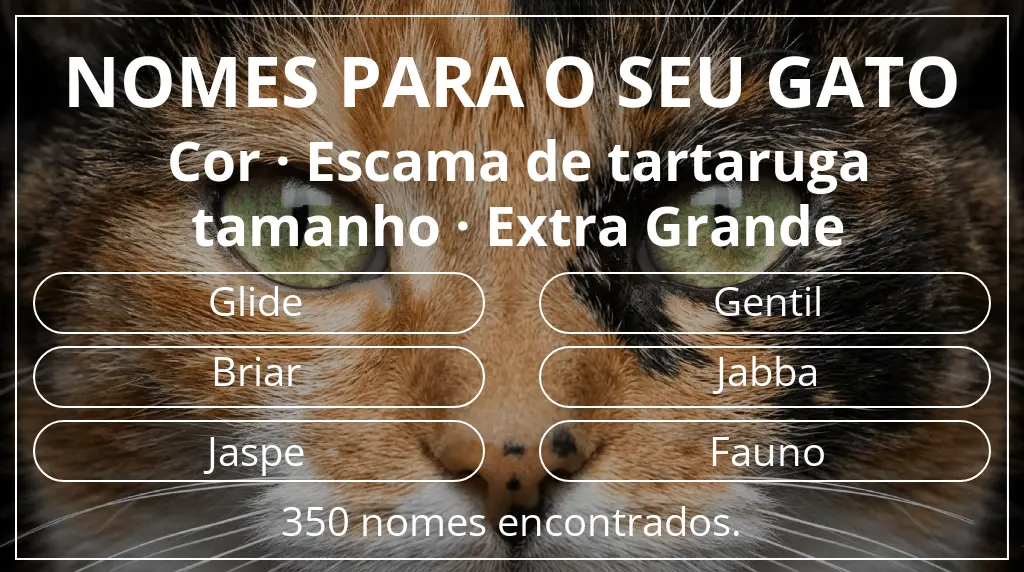 Nomes felinos com inspiração em cor escama de tartaruga e tamanho extra grande