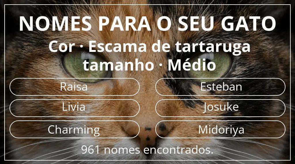 Nomes felinos baseados em cor escama de tartaruga e tamanho médio