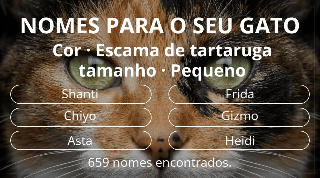 Nomes de gatos com inspiração em cor escama de tartaruga e tamanho pequeno
