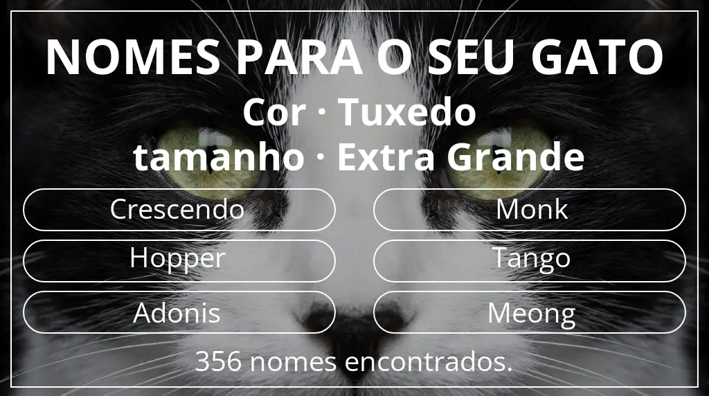 Nomes de gatos com inspiração em cor tuxedo e tamanho extra grande