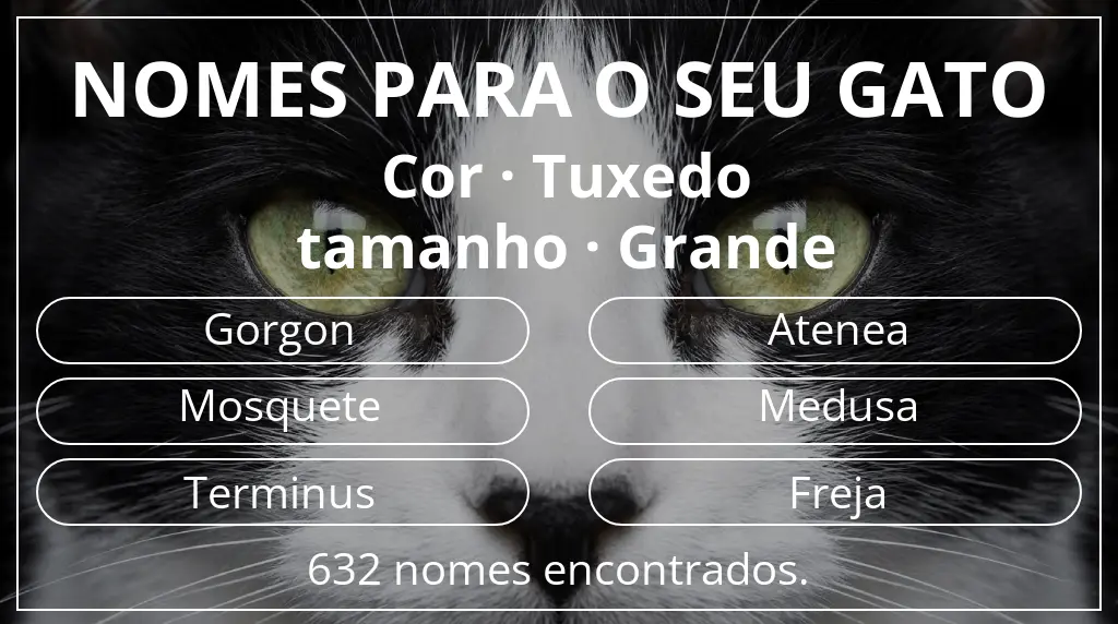 Nomes de gatos com inspiração em cor tuxedo e tamanho grande
