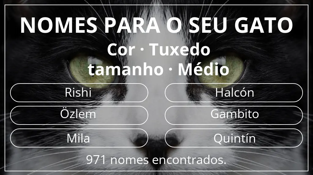 Nomes felinos com inspiração em cor tuxedo e tamanho médio