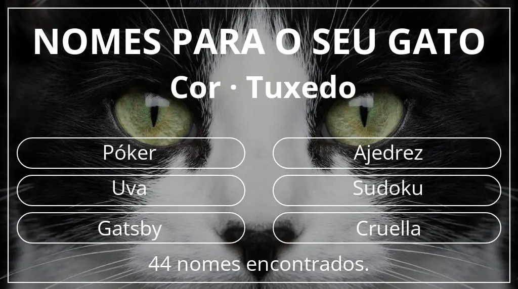 Nomes felinos com inspiração em cor tuxedo