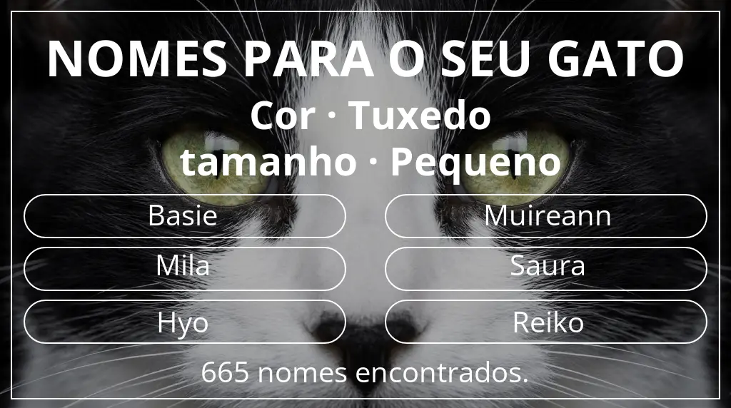Nomes de gatos relacionados com cor tuxedo e tamanho pequeno