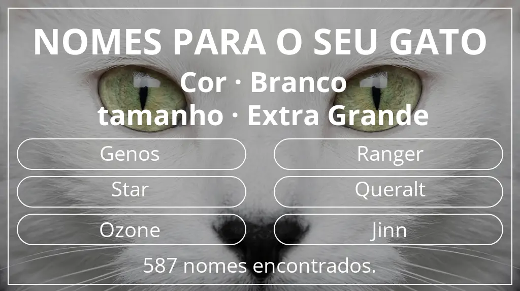 Nomes para gatos relacionados com cor branco e tamanho extra grande