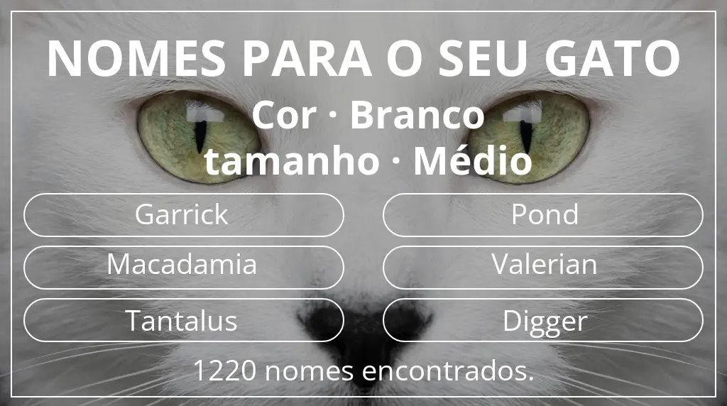 Nomes para gatos baseados em cor branco e tamanho médio