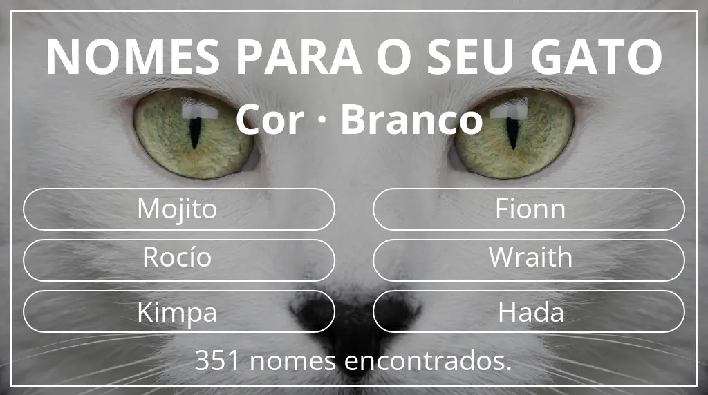 Nomes de gatos com inspiração em cor branco