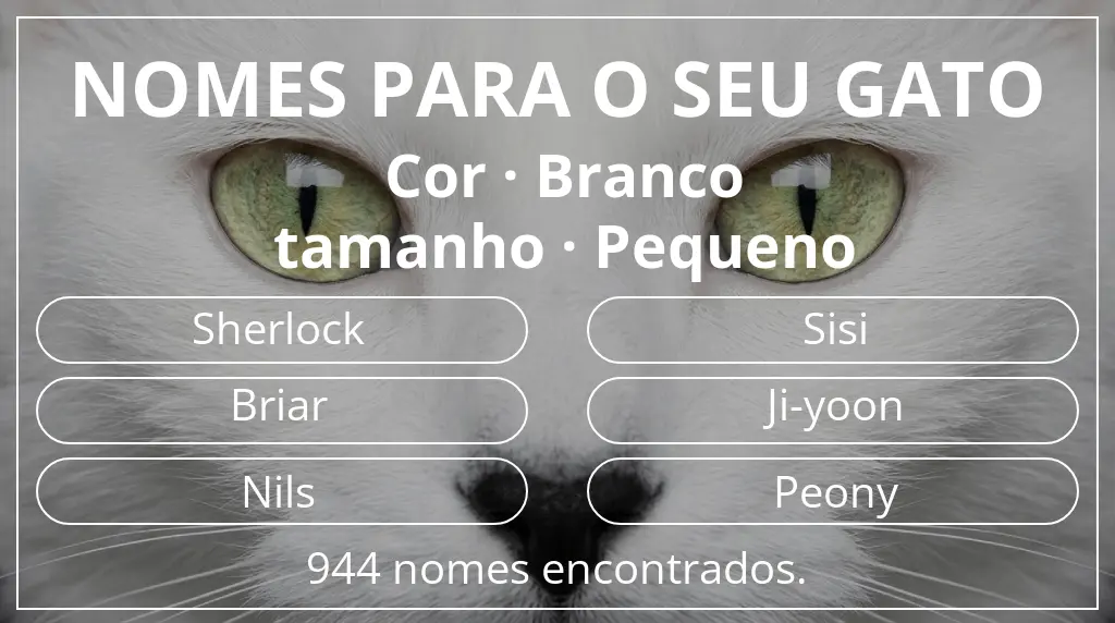 Nomes felinos baseados em cor branco e tamanho pequeno