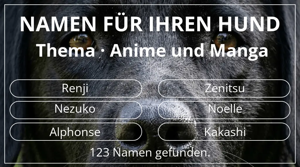 Hundenamen basierend auf thema anime und manga