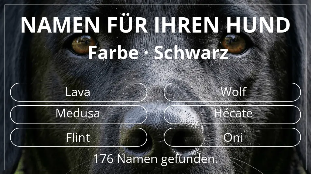 Hundenamen basierend auf farbe schwarz