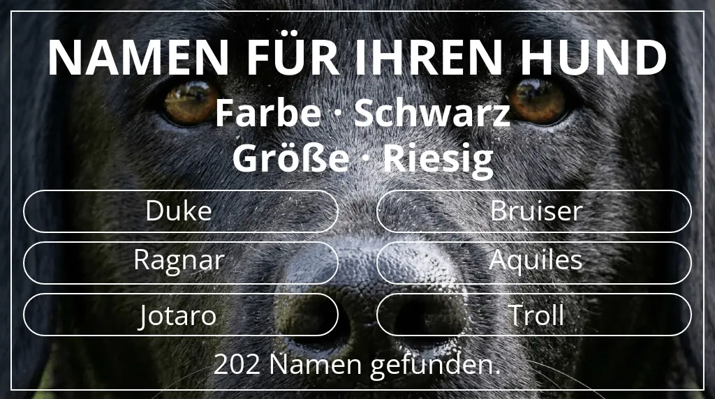 Hundenamen basierend auf farbe schwarz und größe riesig