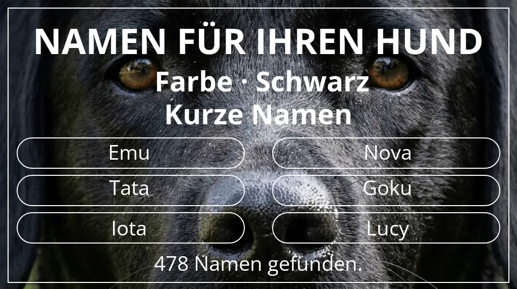 Hundenamen basierend auf farbe schwarz und namenslänge kurz (2–4)