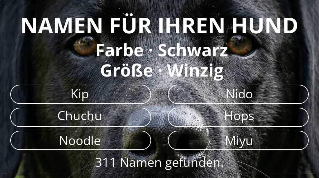 Namen für Hunde basierend auf farbe schwarz und größe winzig