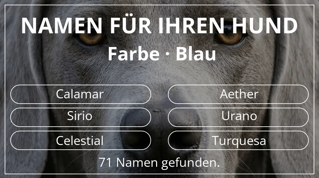 Hundenamen basierend auf farbe blau