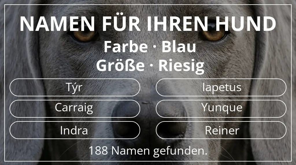 Hundenamen inspiriert von farbe blau und größe riesig