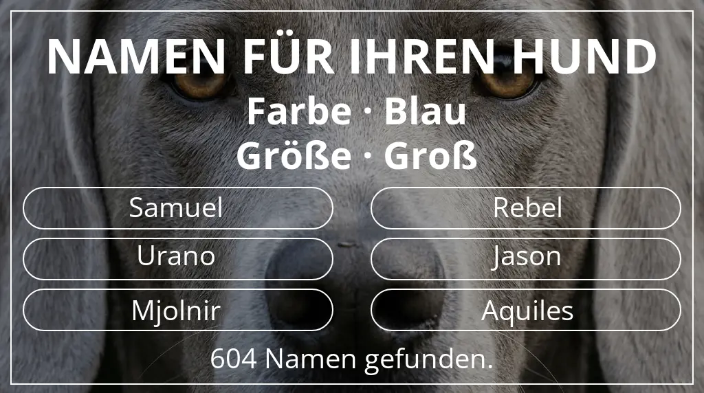 Hundenamen inspiriert von farbe blau und größe groß