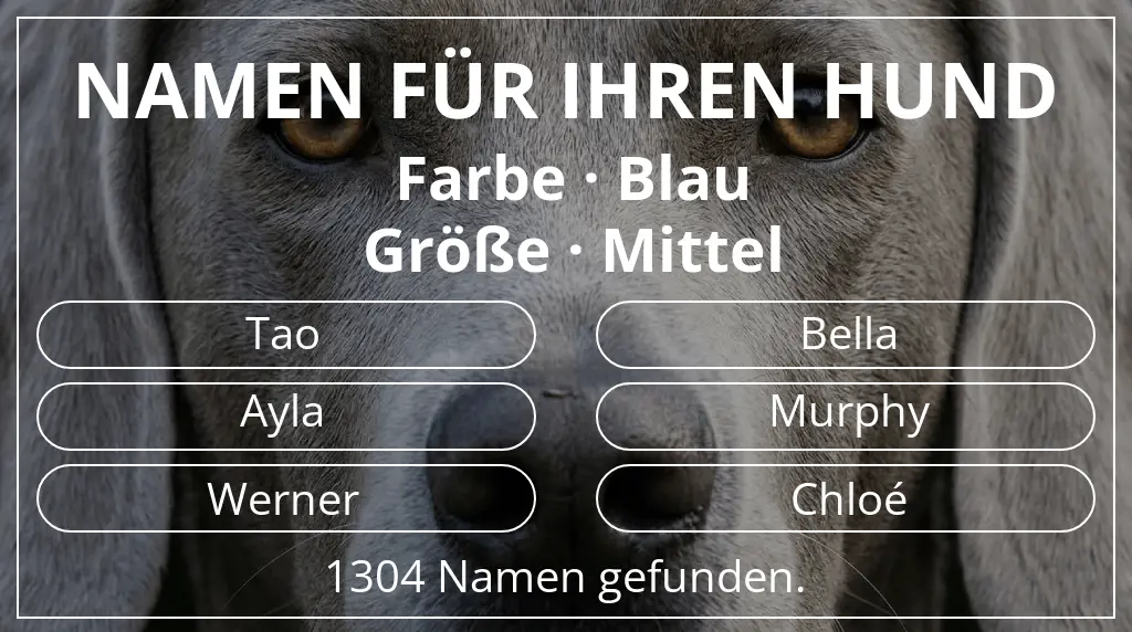 Namen für Hunde basierend auf farbe blau und größe mittel