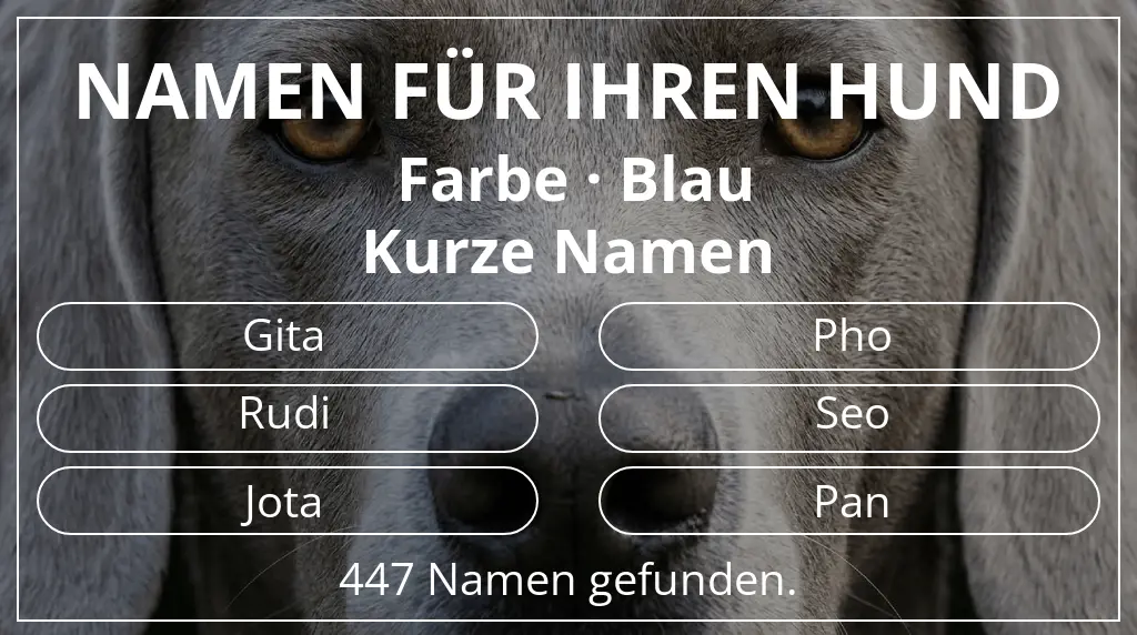 Namen für Hunde inspiriert von farbe blau und namenslänge kurz (2–4)