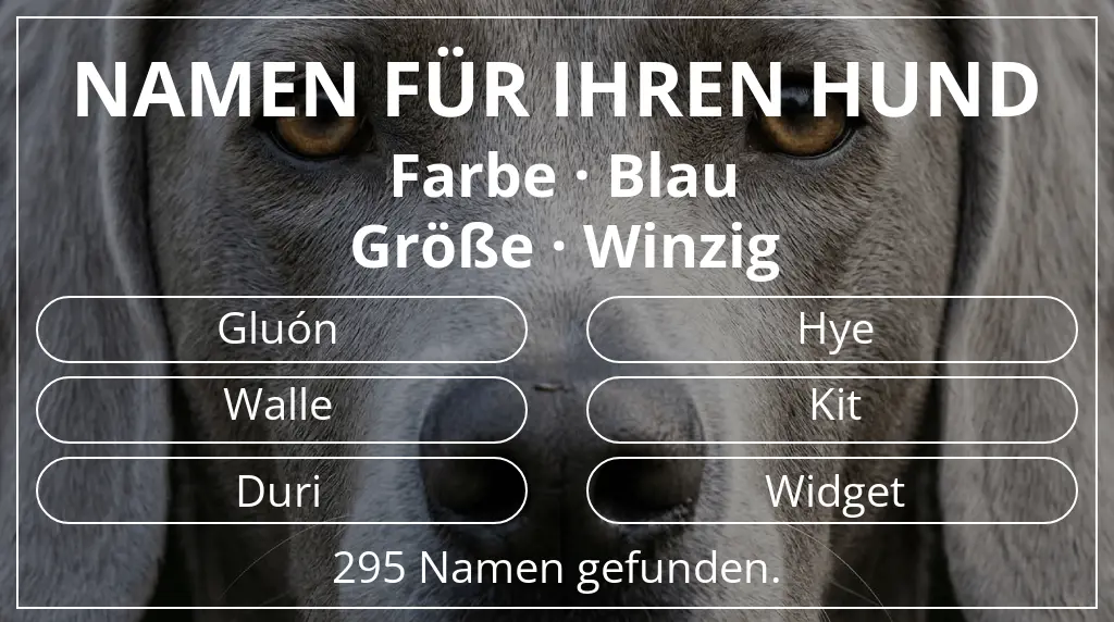 Hundenamen basierend auf farbe blau und größe winzig