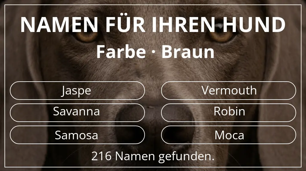 Hundenamen inspiriert von farbe braun