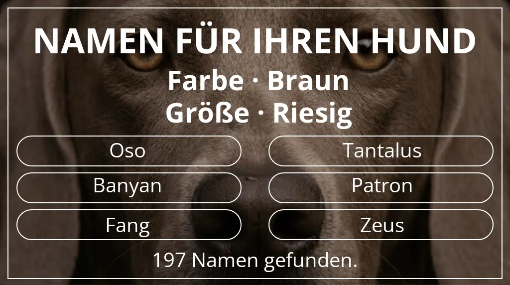 Hundenamen basierend auf farbe braun und größe riesig