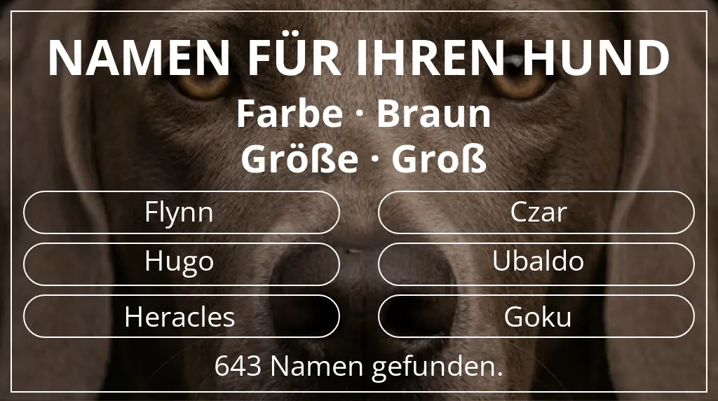 Namen für Hunde inspiriert von farbe braun und größe groß