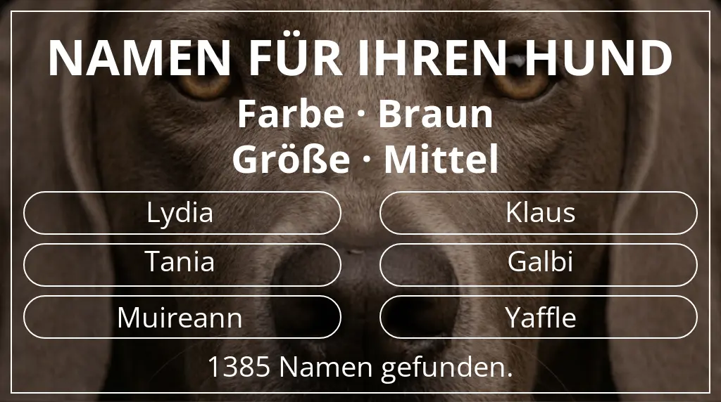 Namen für Hunde basierend auf farbe braun und größe mittel
