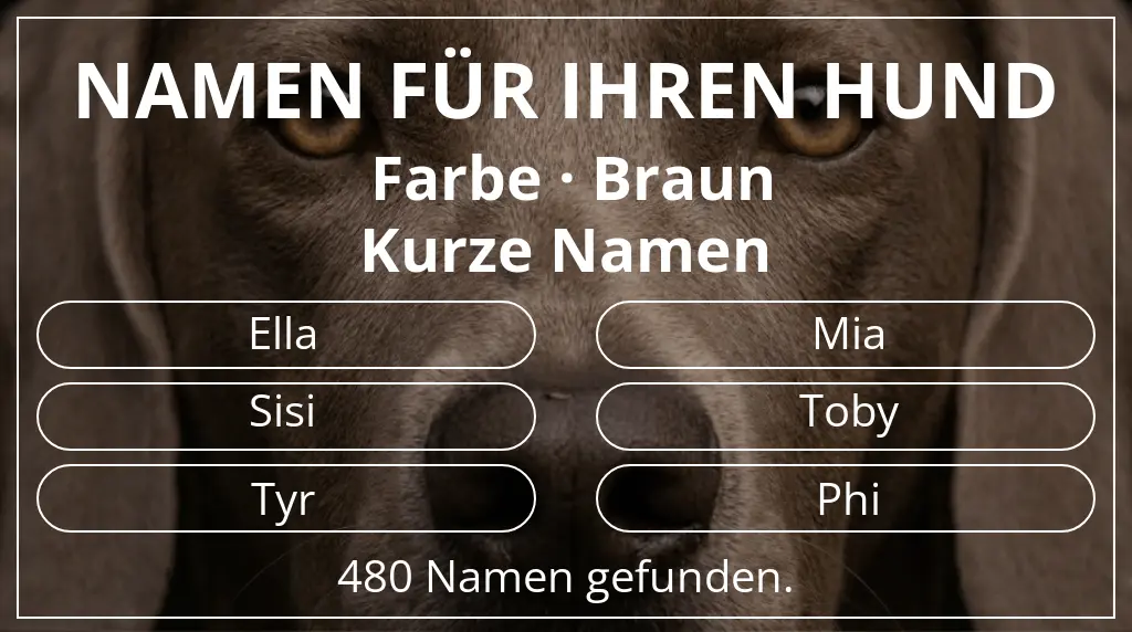 Namen für Hunde basierend auf farbe braun und namenslänge kurz (2–4)