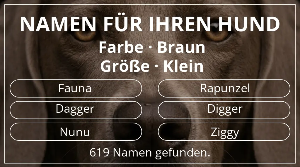 Hundenamen basierend auf farbe braun und größe klein