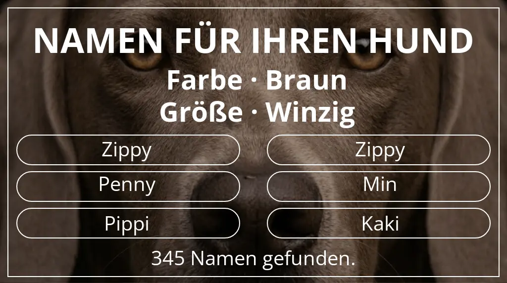Hundenamen inspiriert von farbe braun und größe winzig