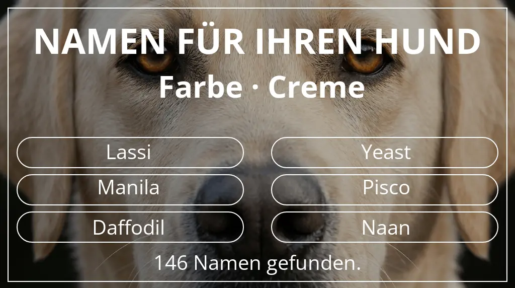 Namen für Hunde inspiriert von farbe creme