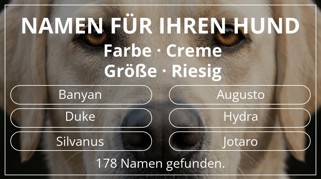 Namen für Hunde basierend auf farbe creme und größe riesig