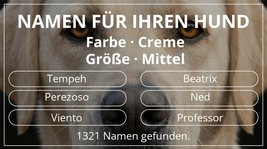 Namen für Hunde basierend auf farbe creme und größe mittel