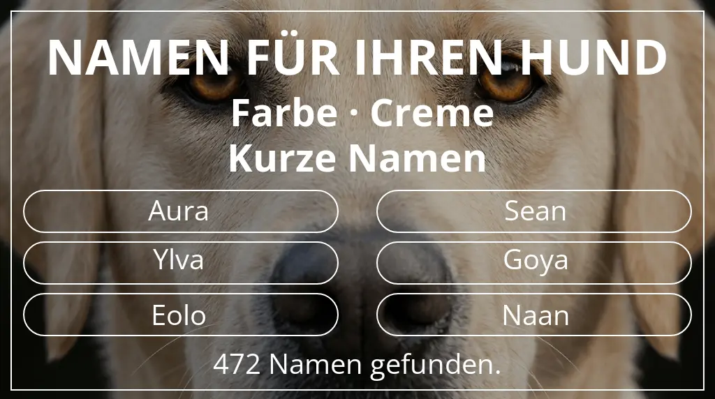 Namen für Hunde inspiriert von farbe creme und namenslänge kurz (2–4)