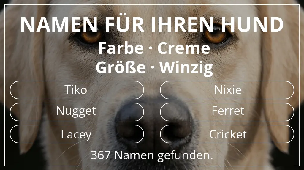 Namen für Hunde inspiriert von farbe creme und größe winzig
