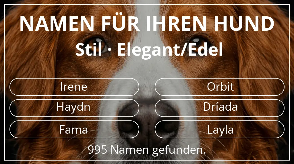 Namen für Hunde inspiriert von stil elegant/edel