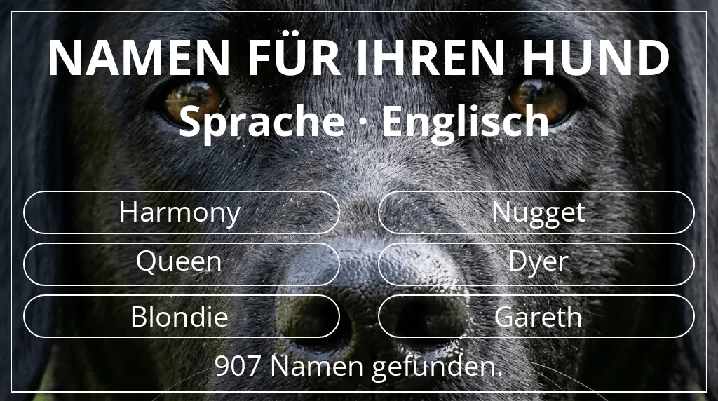 Hundenamen basierend auf sprache englisch