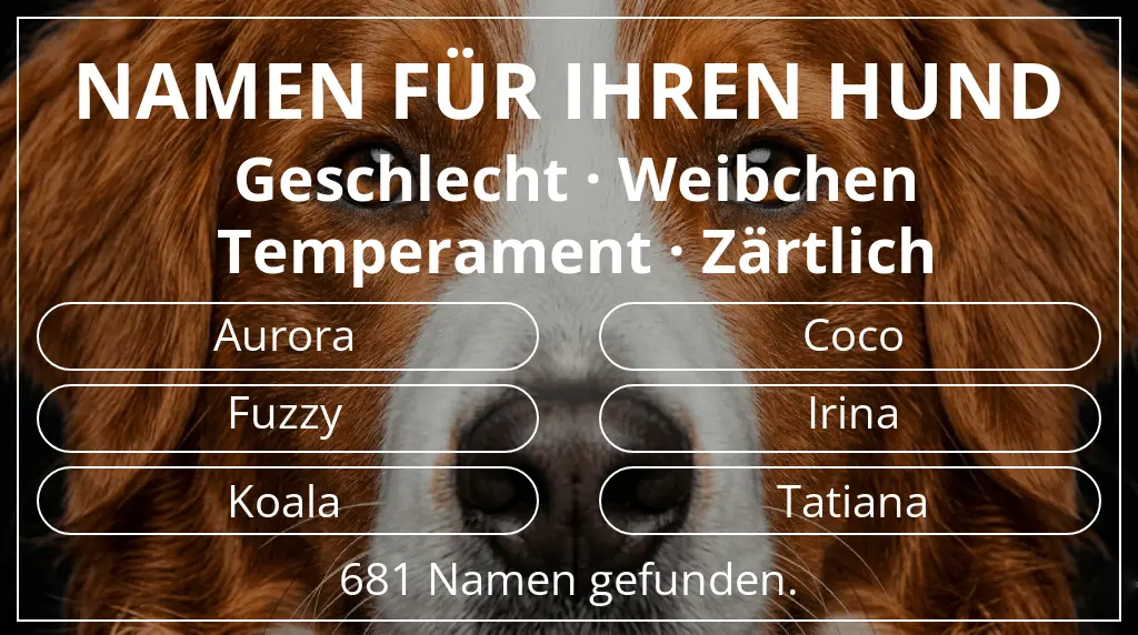 Namen für Hunde inspiriert von geschlecht weibchen und temperament zärtlich