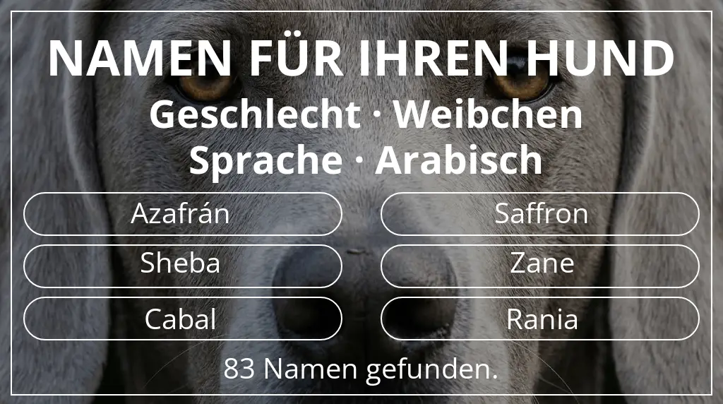 Namen für Hunde inspiriert von geschlecht weibchen und sprache arabisch